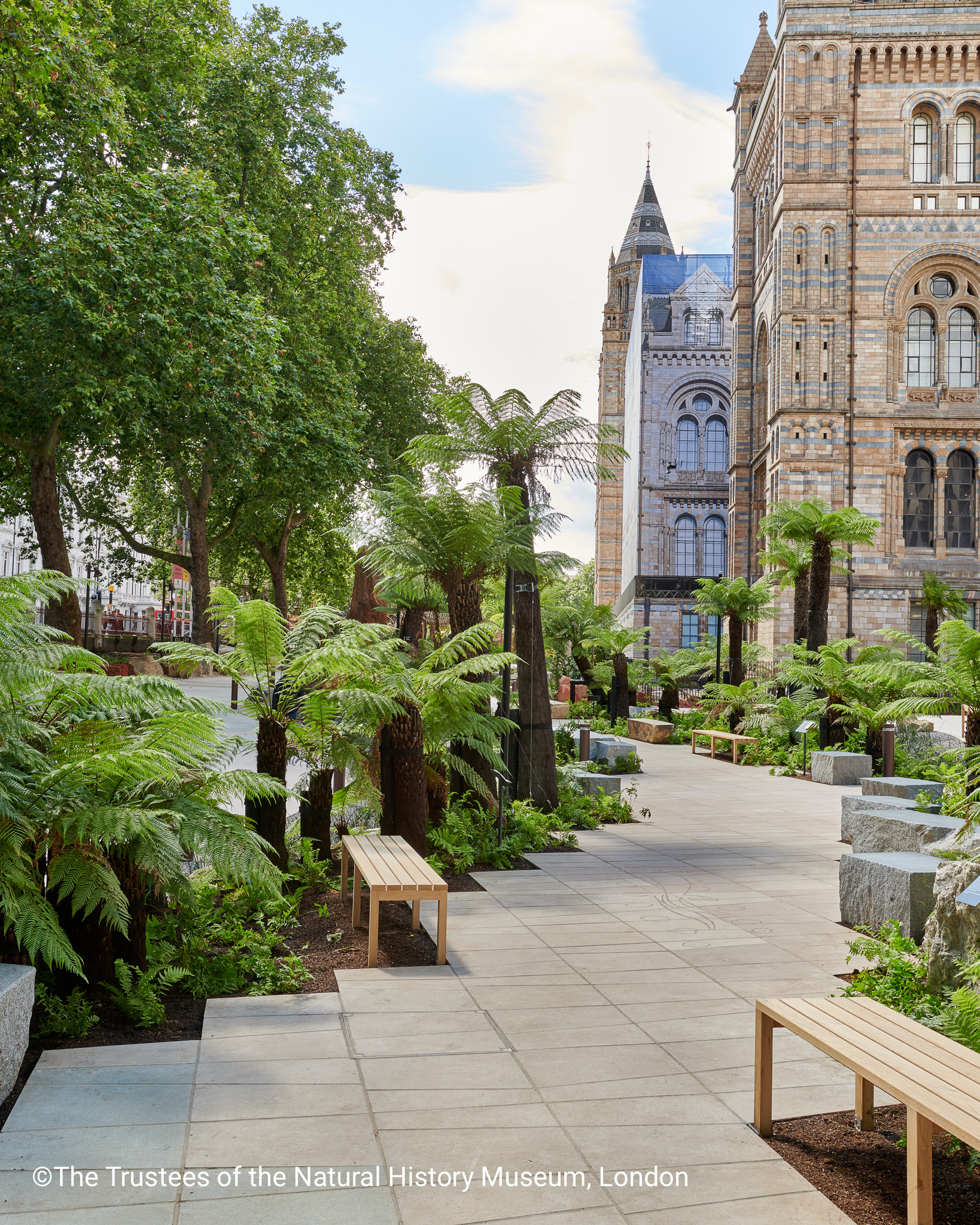 evolution_garden_9_cthe_trustees_of_the_natural_history_museum_london